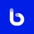 Botim Checker Logo