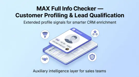 How MAX Full Info Checker Improves Customer Segmentation and Sales Priorities