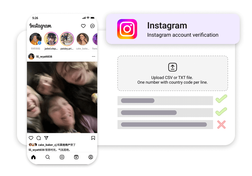 Bulk Instagram account verification service by NumberChecker.AI